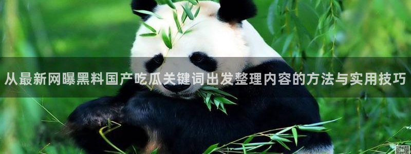 黑料热点