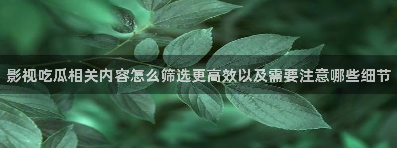 网络热门话题