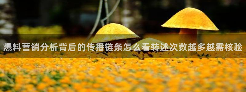黑料爆料内容大全