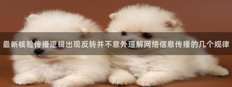 网络资讯动态