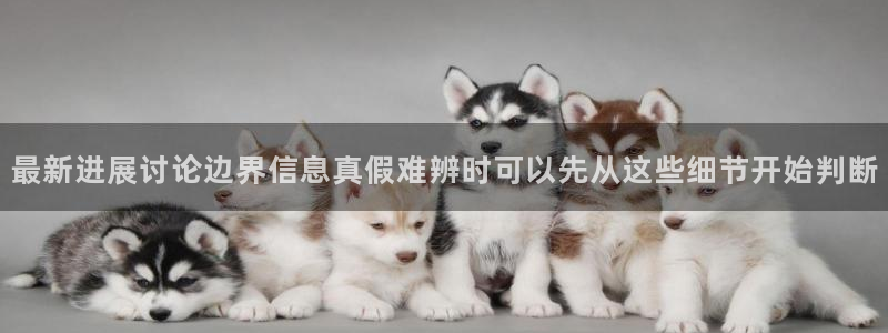 黑料网络新闻