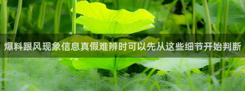 最新网络热点